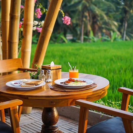 Wadari Retreat Villa Ubud Kültér fotó