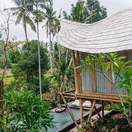 Wadari Retreat Villa Ubud Kültér fotó