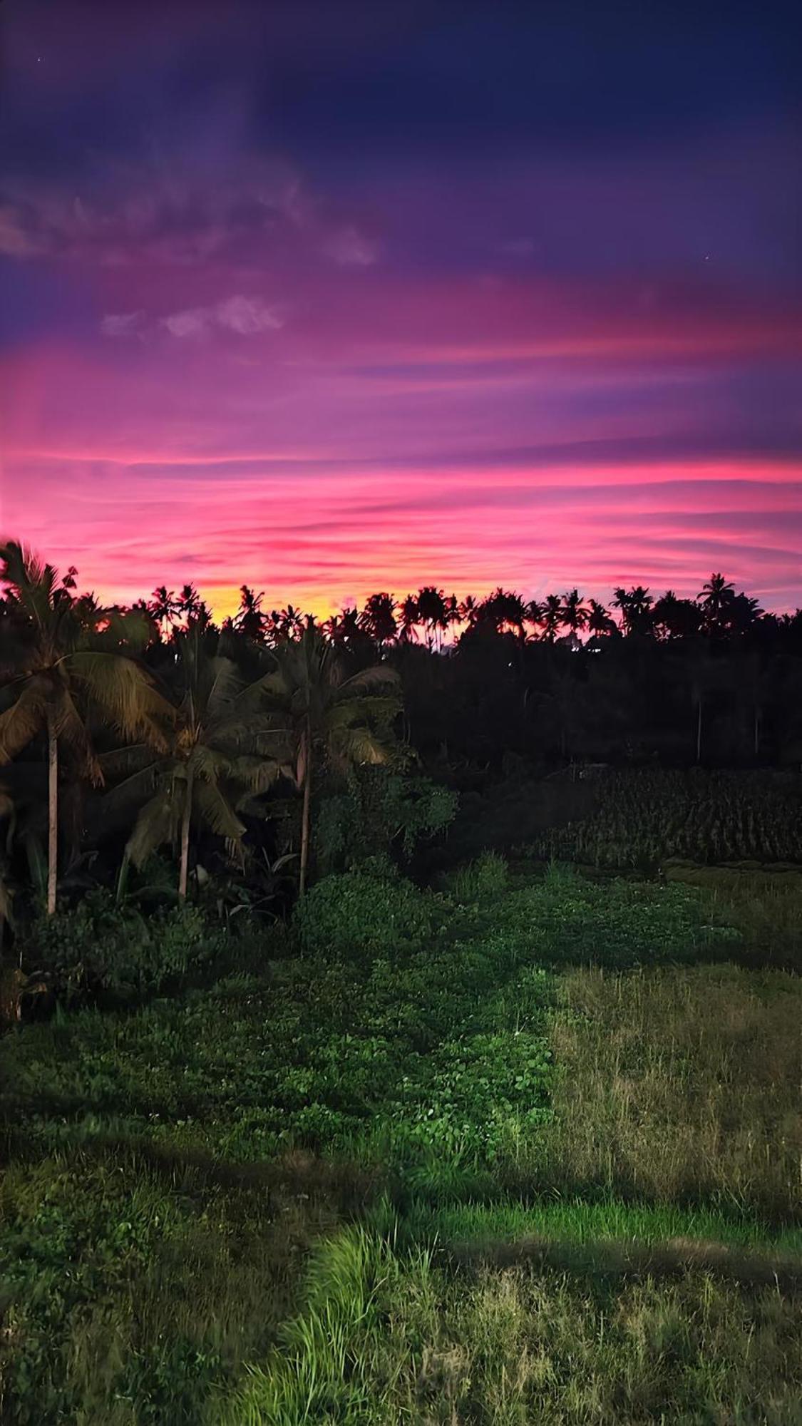 Wadari Retreat Villa Ubud Kültér fotó